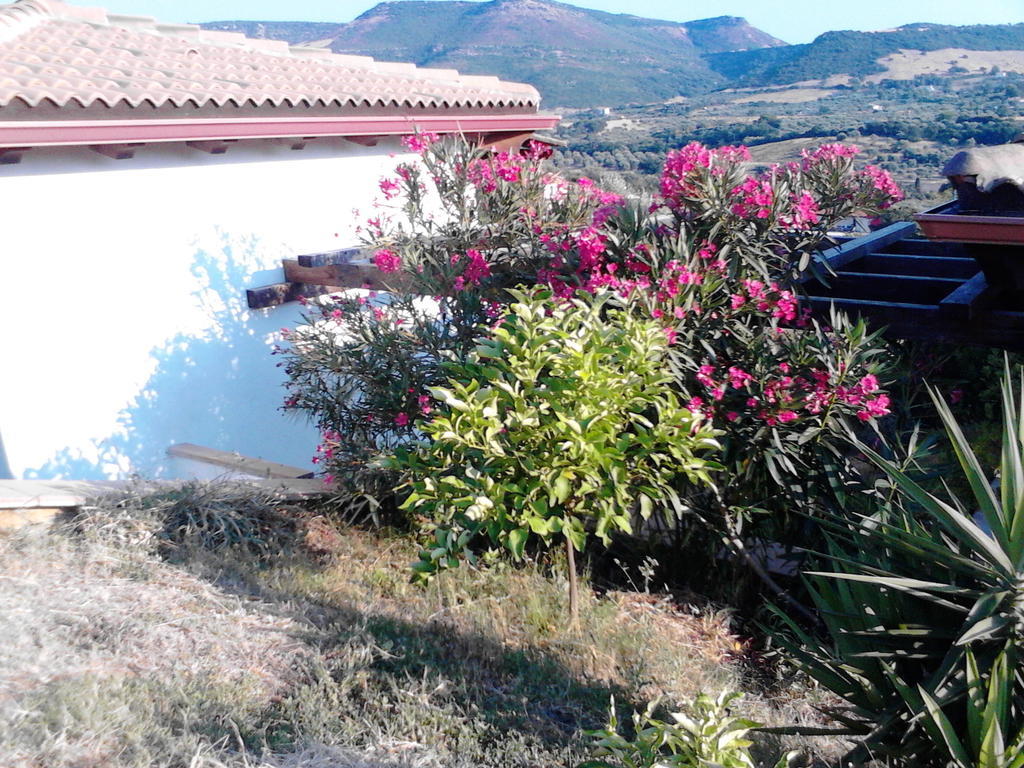 Affittacamere Valverde Di Naitana Rita อาลเกโร ภายนอก รูปภาพ